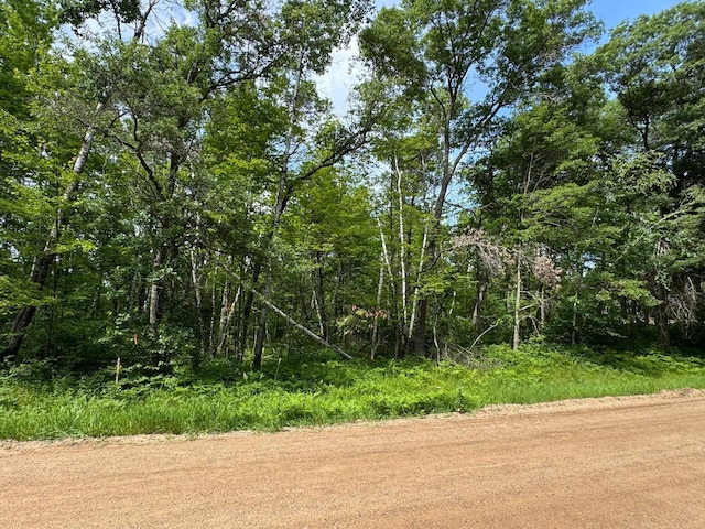 TBD Blue Ridge Dr, Breezy Point, MN 56472