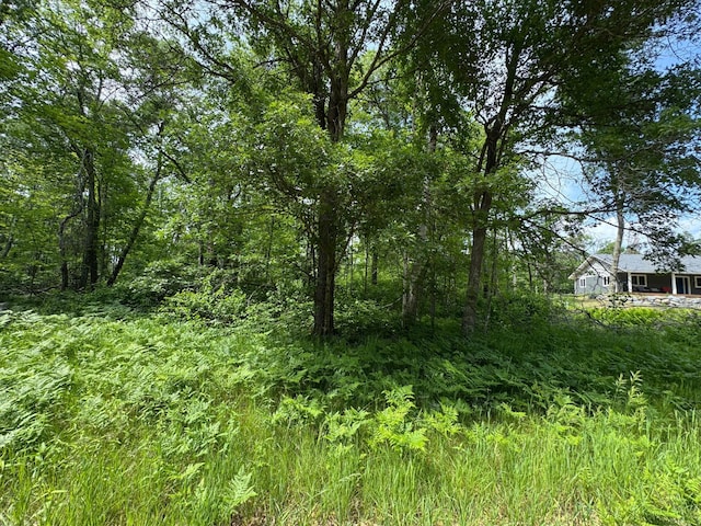 TBD Blue Ridge Dr, Breezy Point, MN 56472