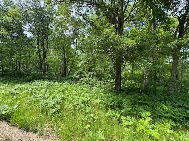 TBD Blue Ridge Dr, Breezy Point, MN 56472