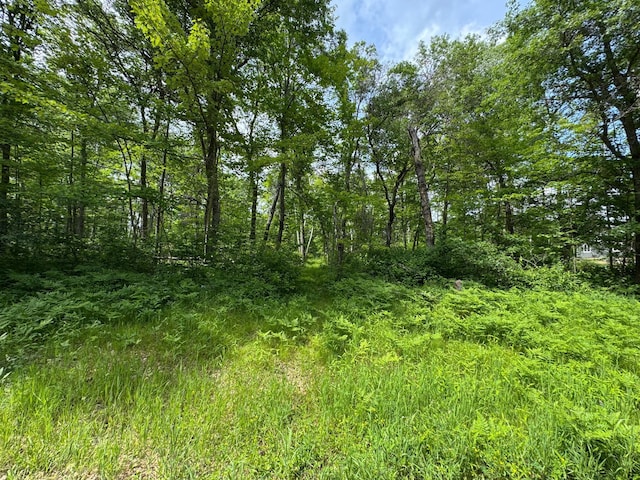TBD Blue Ridge Dr, Breezy Point, MN 56472
