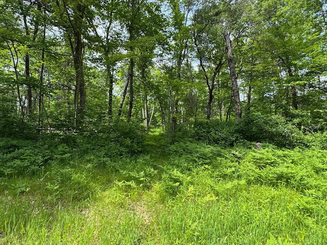 TBD Blue Ridge Dr, Breezy Point, MN 56472
