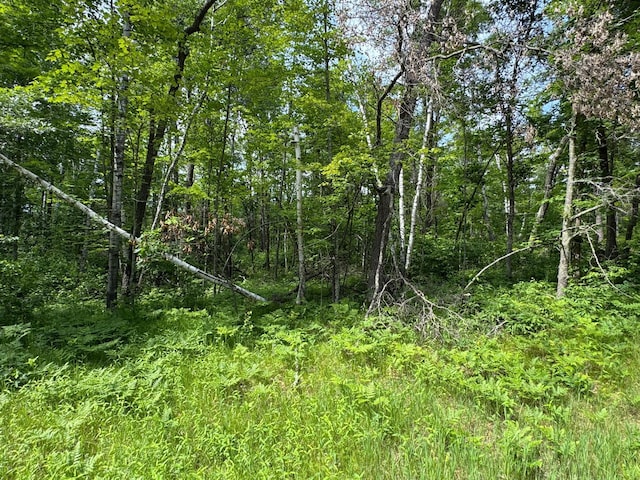TBD Blue Ridge Dr, Breezy Point, MN 56472