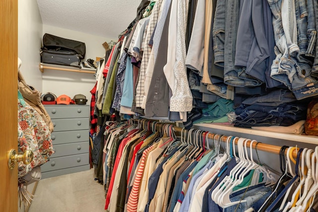 2174 Ponds Way, Shakopee, MN 55379 - walk in closet featuring carpet floors