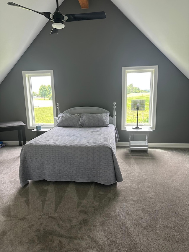 19 Sandbar Rd, Tracy, MN 56175 - bedroom with vaulted ceiling, dark colored carpet, multiple windows, and ceiling fan