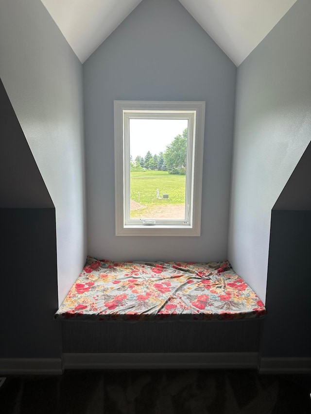19 Sandbar Rd, Tracy, MN 56175 - bedroom with lofted ceiling