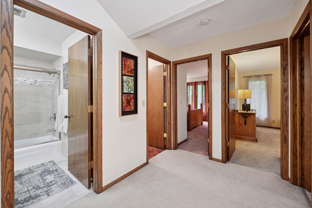 1648 Comstock Ln N, Plymouth, MN 55447 - corridor featuring carpet floors and a textured ceiling