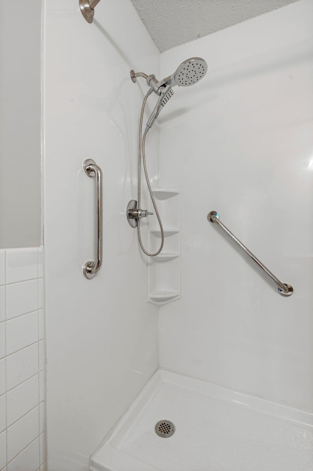 4 Pine Tree Dr Unit 218, Arden Hills, MN 55112 - bathroom with a shower
