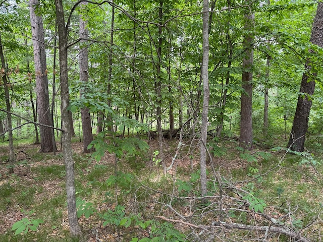 TBD White Overlook Drive, Breezy Point, MN 56472