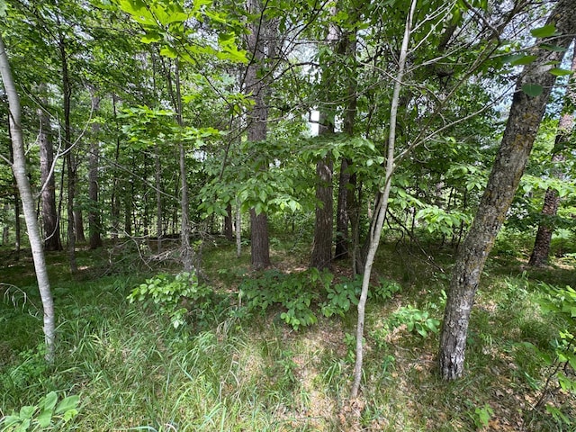TBD White Overlook Drive, Breezy Point, MN 56472