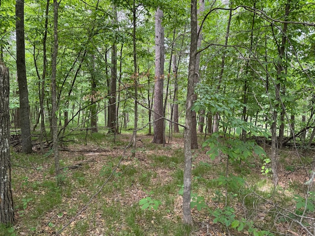TBD White Overlook Drive, Breezy Point, MN 56472