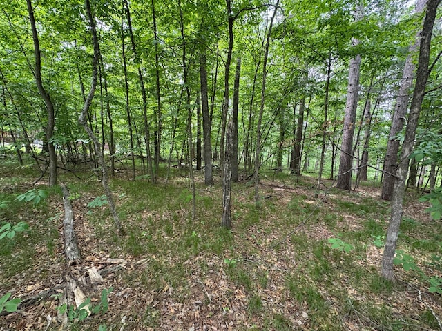 TBD White Overlook Drive, Breezy Point, MN 56472