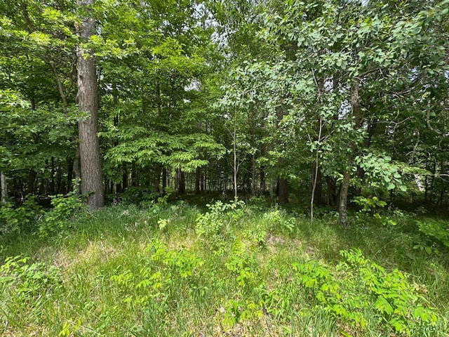 TBD White Overlook Drive, Breezy Point, MN 56472