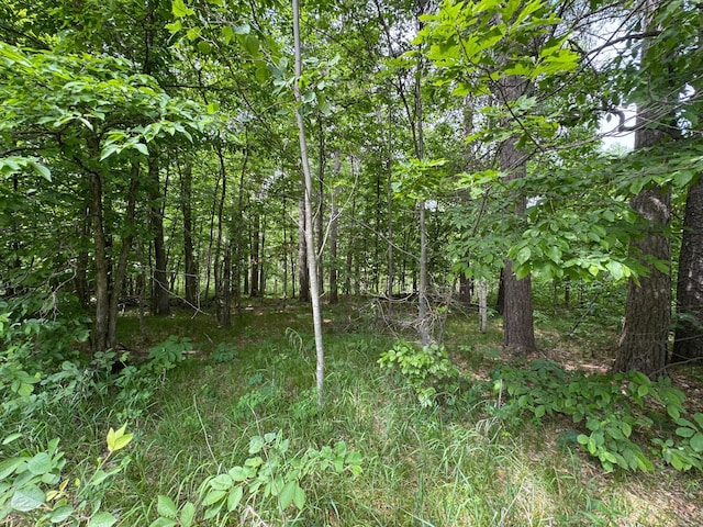 TBD White Overlook Drive, Breezy Point, MN 56472
