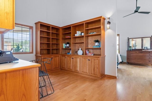 360 Karens Way NW, Alexandria, MN 56308 - office space with a towering ceiling, light wood finished floors, and a ceiling fan