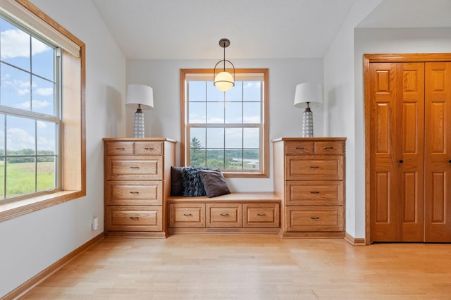 360 Karens Way NW, Alexandria, MN 56308 - foyer featuring light wood-type flooring
