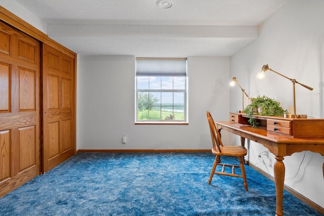360 Karens Way NW, Alexandria, MN 56308 - home office with carpet floors and baseboards