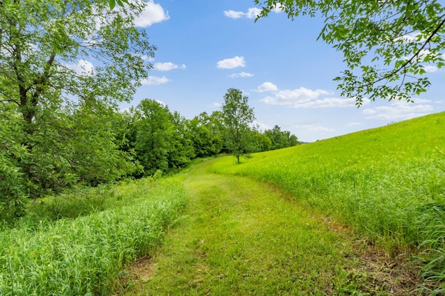 360 Karens Way NW, Alexandria, MN 56308 - view of undeveloped land