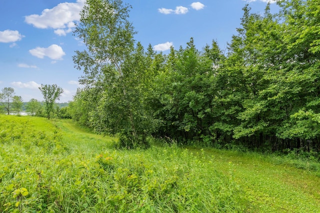 360 Karens Way NW, Alexandria, MN 56308 - view of tree filled area