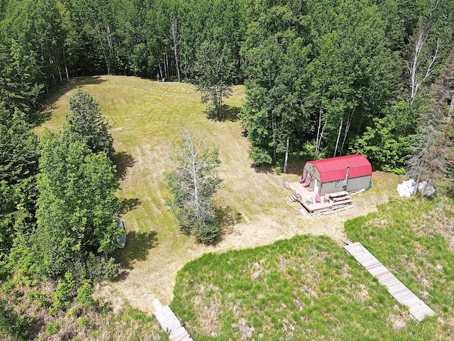 41251 Turtle Lake Rd, Stokes Twp, MN 56628 - drone / aerial view