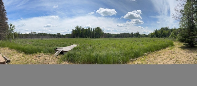 41251 Turtle Lake Rd, Stokes Twp, MN 56628 - view of yard with a view of rural / pastoral area and a wooded view