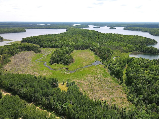 41251 Turtle Lake Rd, Stokes Twp, MN 56628 - aerial view of a nearby body of water and a forest