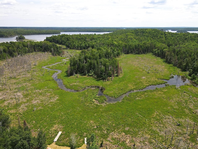 41251 Turtle Lake Rd, Stokes Twp, MN 56628 - aerial overview of property's location featuring a nearby body of water and a forest