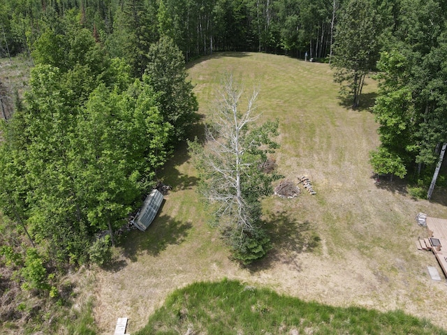 41251 Turtle Lake Rd, Stokes Twp, MN 56628 - drone / aerial view