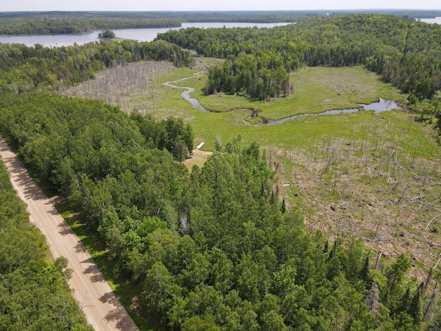 41251 Turtle Lake Rd, Stokes Twp, MN 56628 - aerial overview of property's location featuring a large body of water