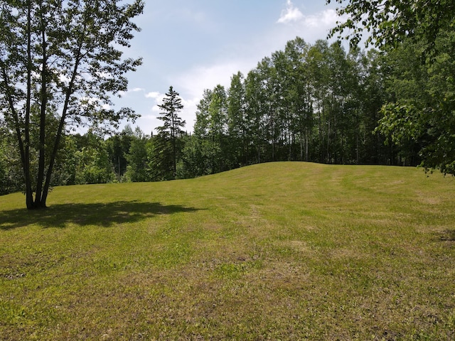 41251 Turtle Lake Rd, Stokes Twp, MN 56628 - view of grassy yard