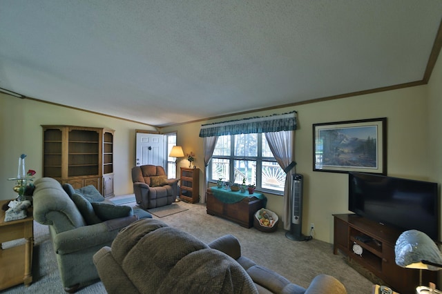 30348 422nd Ln, Aitkin, MN 56431 - living room featuring carpet, ornamental molding, and a textured ceiling