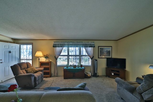 30348 422nd Ln, Aitkin, MN 56431 - living room featuring ornamental molding, carpet flooring, healthy amount of natural light, and a textured ceiling