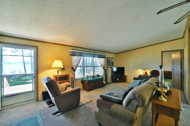 30348 422nd Ln, Aitkin, MN 56431 - living area with carpet, crown molding, and a textured ceiling