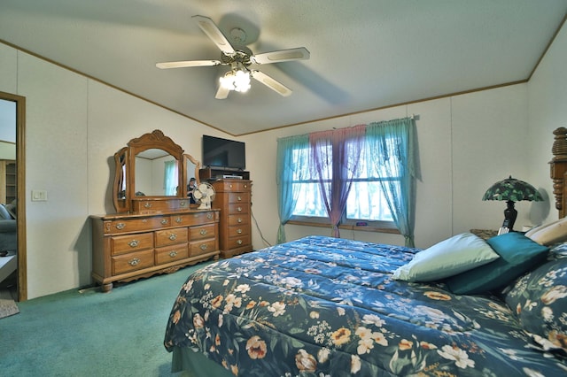 30348 422nd Ln, Aitkin, MN 56431 - bedroom with carpet floors, ceiling fan, and vaulted ceiling