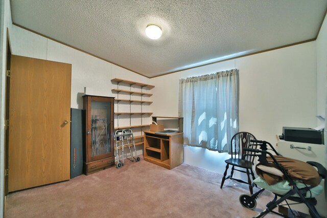 30348 422nd Ln, Aitkin, MN 56431 - office with vaulted ceiling, a textured ceiling, carpet flooring, and crown molding