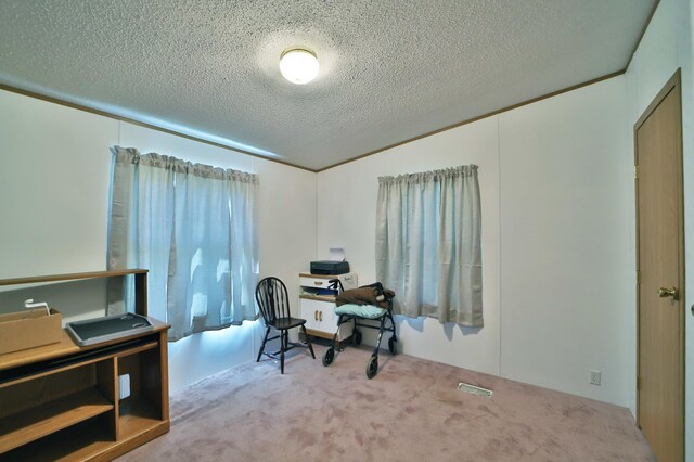 30348 422nd Ln, Aitkin, MN 56431 - carpeted office featuring a textured ceiling