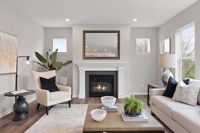 TBB Trinity, Shakopee, MN 55379 - living area with wood finished floors, healthy amount of natural light, recessed lighting, a glass covered fireplace, and radiator heating unit