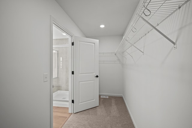 TBB Trinity, Shakopee, MN 55379 - walk in closet with light carpet