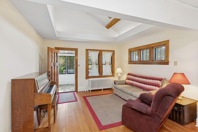 275 Pascal St S, Saint Paul, MN 55105 - living area featuring radiator heating unit and light wood finished floors