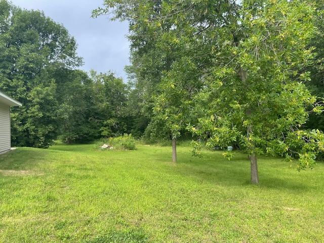 10132 State Highway 27, Onamia, MN 56359 - photo 16