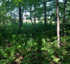 10132 State Highway 27, Onamia, MN 56359 - photo 43