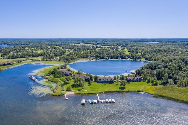11280 Green Hill Rd, East Gull Lake, MN 56401 - drone / aerial view of a forest and a large body of water