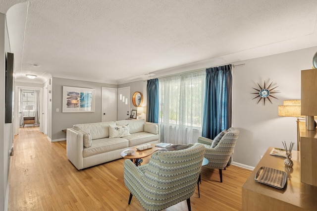 3420 Parkview Blvd, Robbinsdale, MN 55422 - living area with a textured ceiling, light wood finished floors, and plenty of natural light