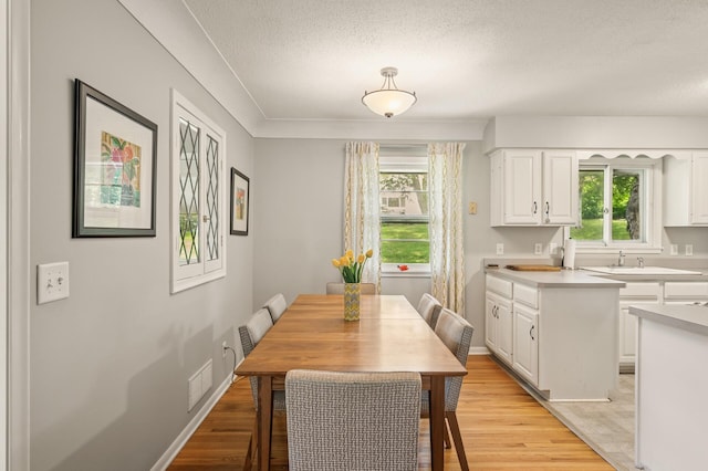 3420 Parkview Blvd, Robbinsdale, MN 55422 - dining room with plenty of natural light, a textured ceiling, and light wood finished floors