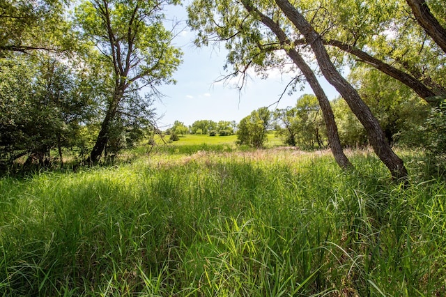 19758 Dayton Hollow Ln, Buse Twp, MN 56537