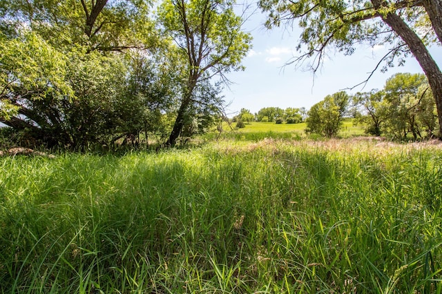 19758 Dayton Hollow Ln, Buse Twp, MN 56537