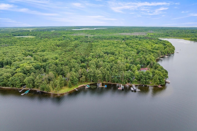 25761 Echo Bay Rd, Bay Lake Twp, MN 56444 - bird's eye view of a forest and a large body of water