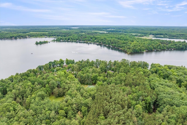 25761 Echo Bay Rd, Bay Lake Twp, MN 56444 - bird's eye view of a nearby body of water