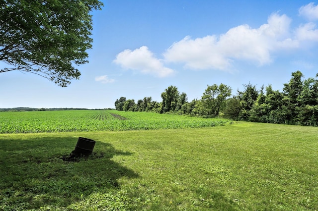 8775 County Road 10 E, Waconia, MN 55387 - view of green lawn featuring a view of rural / pastoral area and agricultural area