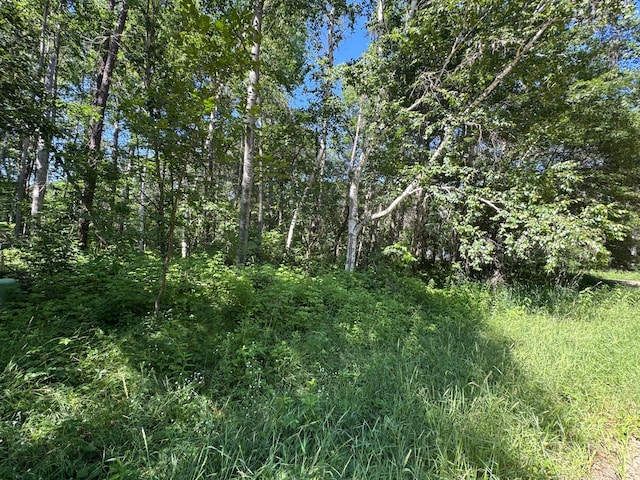 TBD Cedar St, Breezy Point, MN 56472