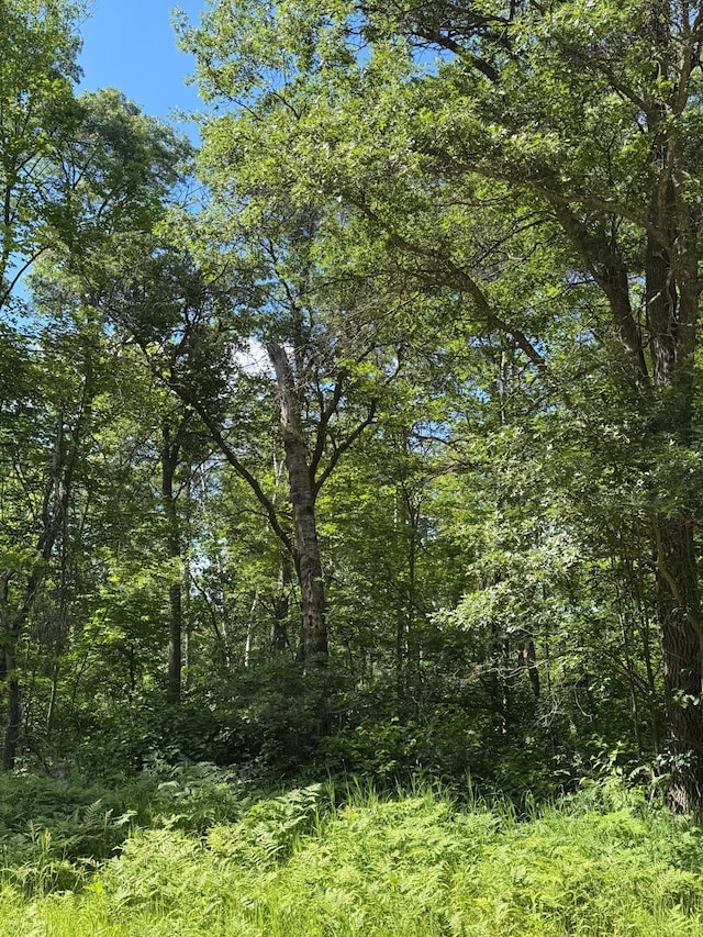 TBD Cedar St, Breezy Point, MN 56472